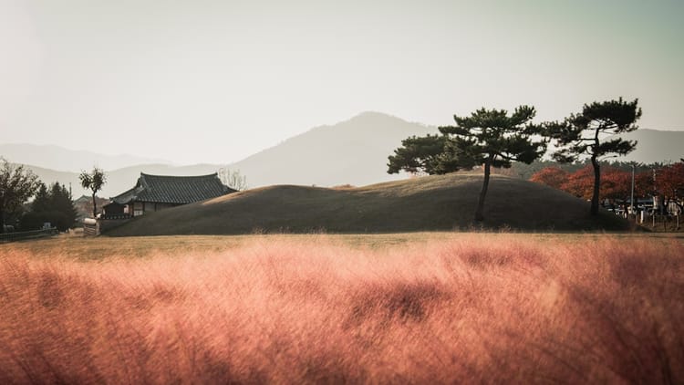 경주 첨성대 주변 산책로